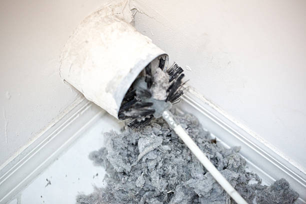 Best Air Duct Sanitizing Services  in Lafayette, GA